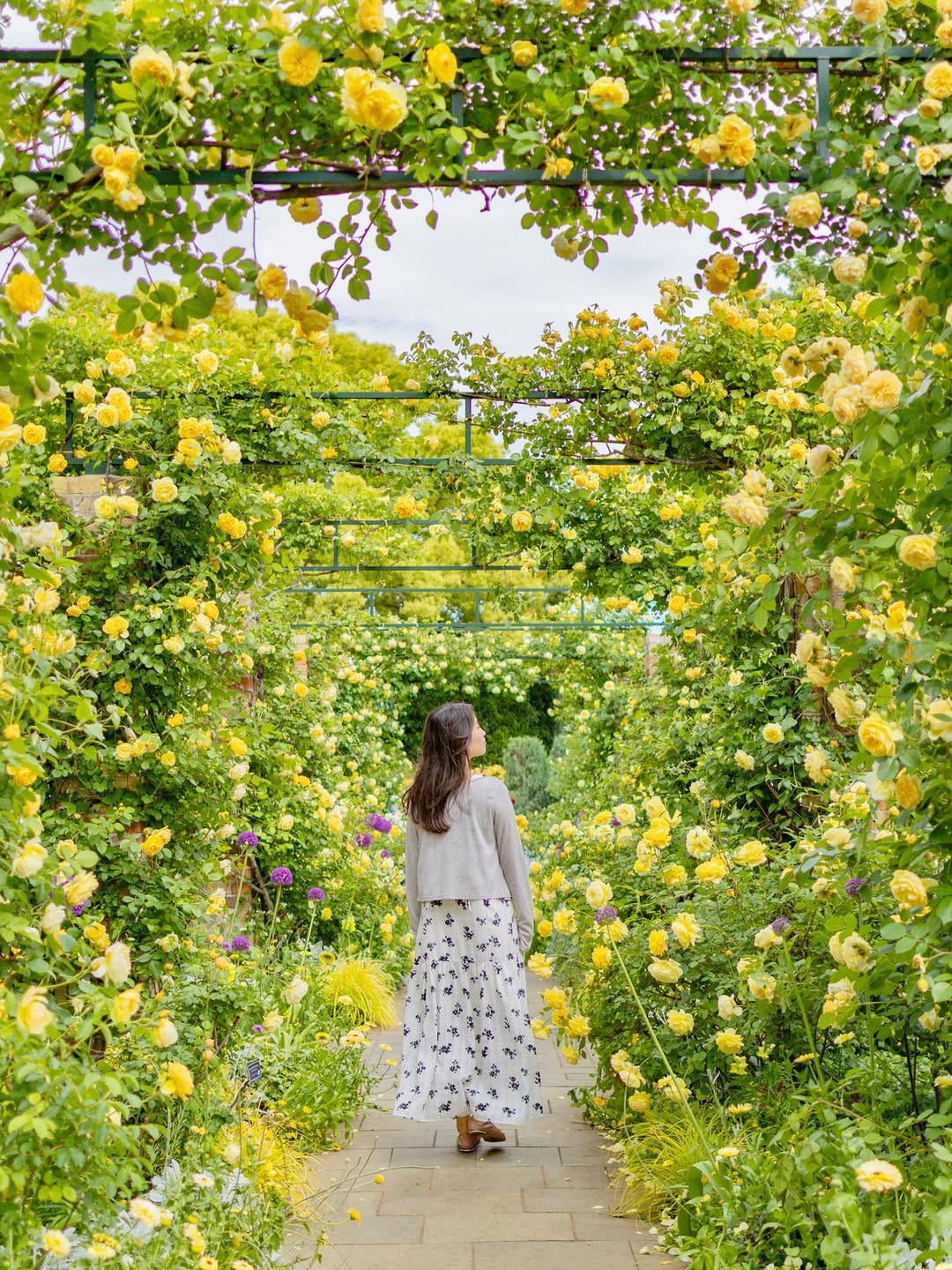 Post 6 by Akane Sekiya | Photographer, Writer on Instagram (carousel)