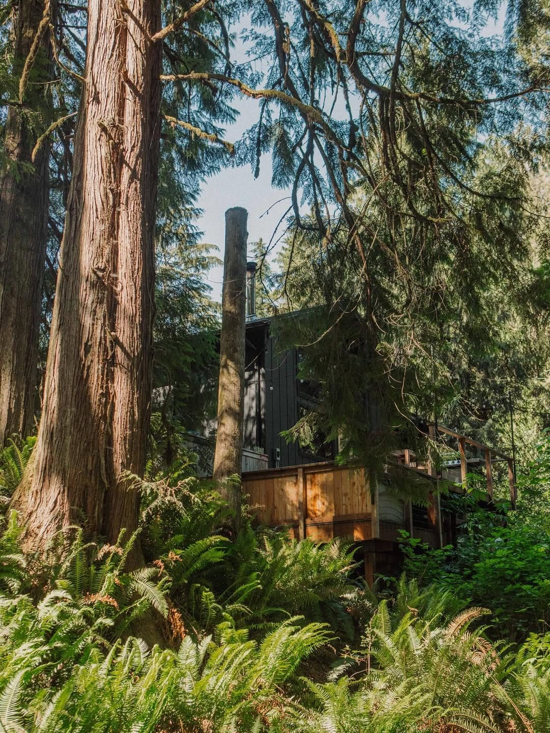 Post 3 by Canyon Creek Cabins on Instagram (carousel)