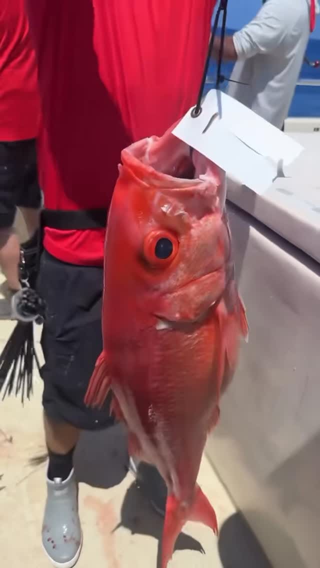 Post 2 by American Patriot Sportfishing on Instagram (video)