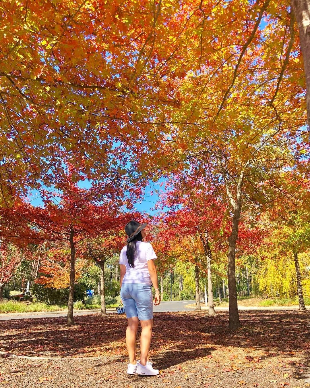 Post 9 by Jane Sachse on Instagram (image)