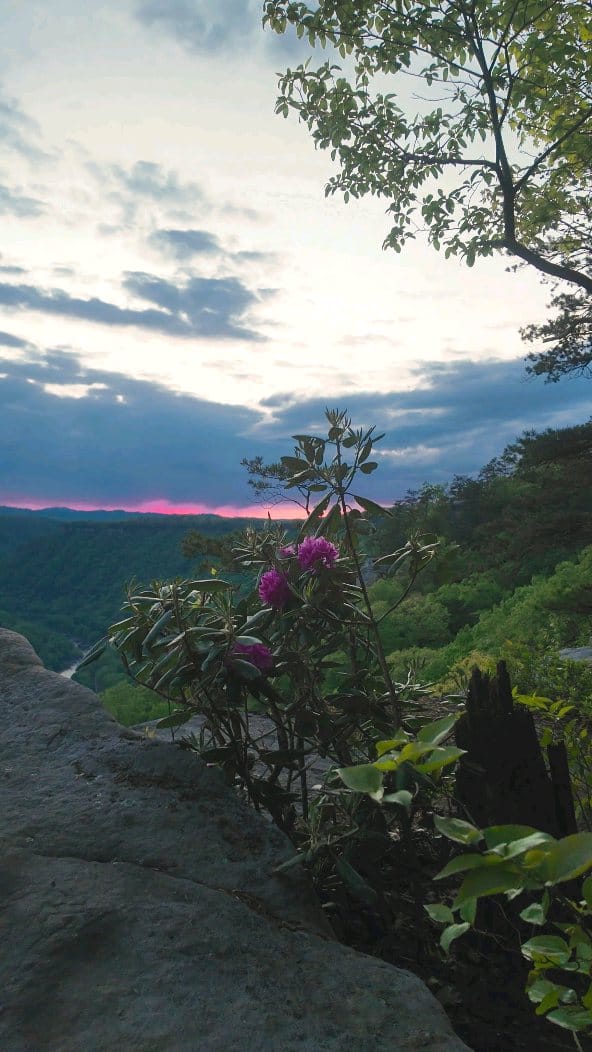 Post 4 by S.C. Shank | Fine Art Landscape Photographer on Instagram (video)