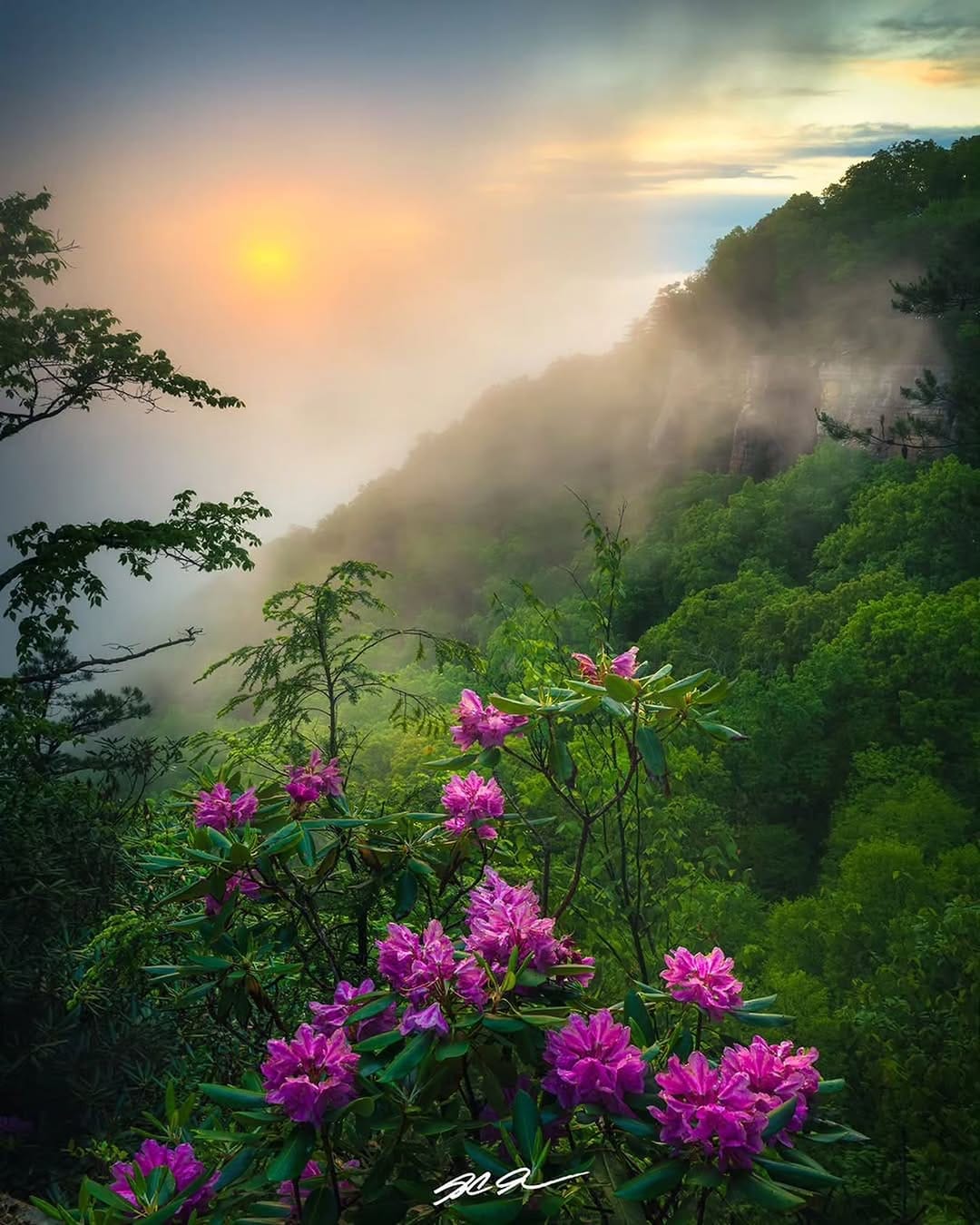 Post 7 by S.C. Shank | Fine Art Landscape Photographer on Instagram (image)