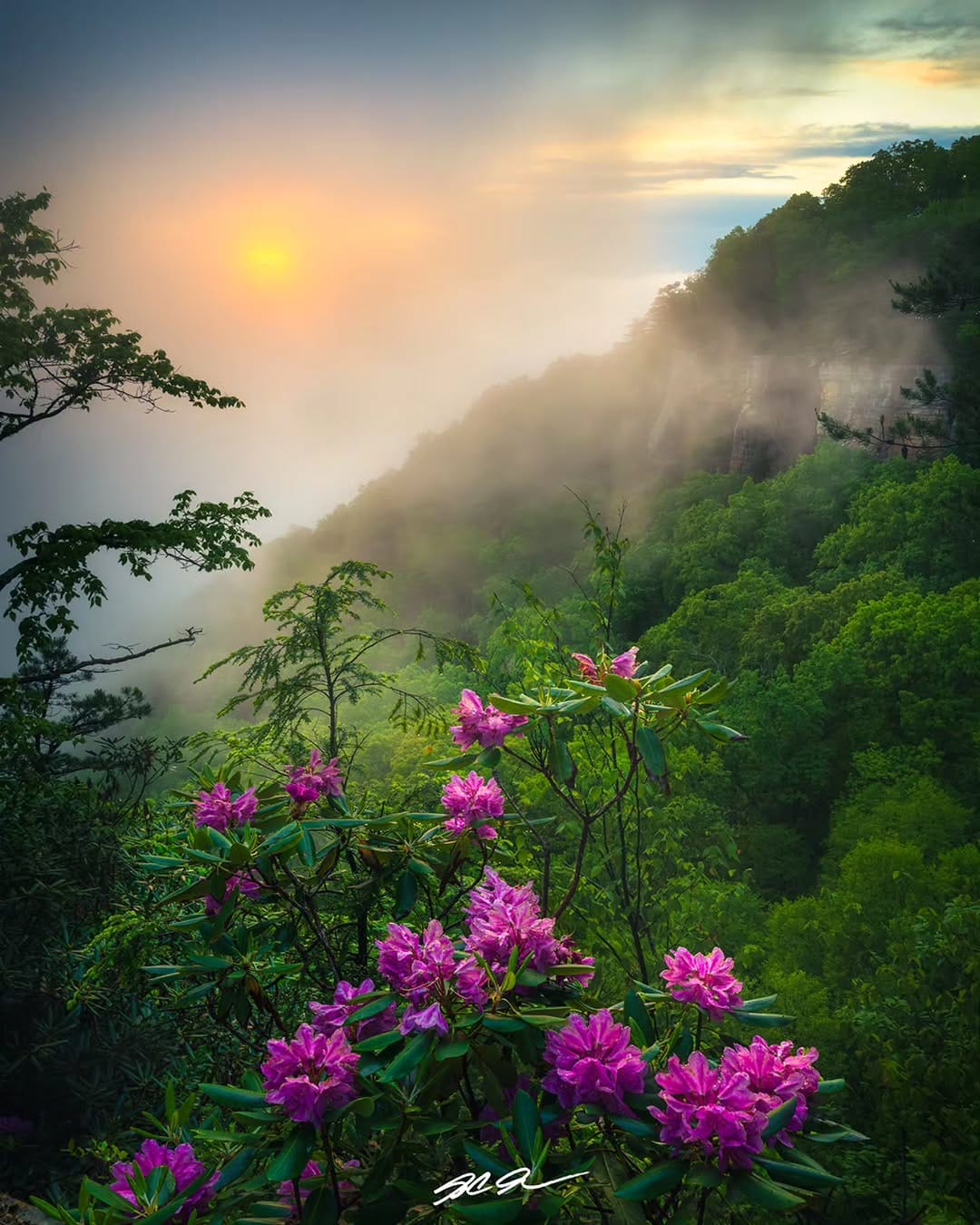 Post 8 by S.C. Shank | Fine Art Landscape Photographer on Instagram (image)