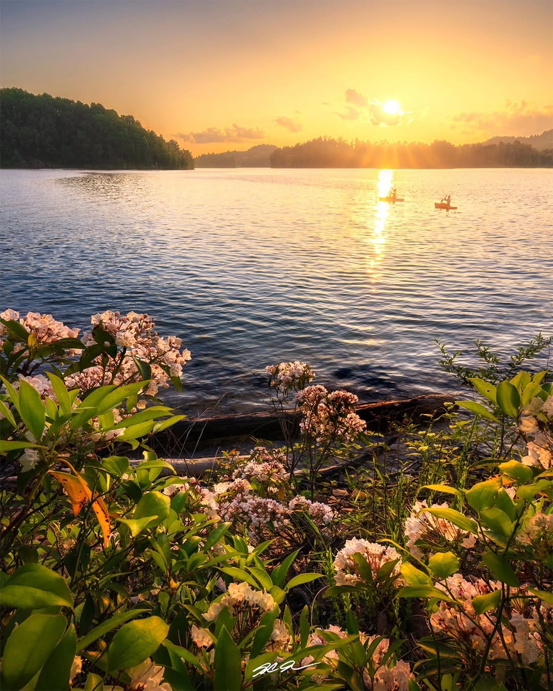 Post 9 by S.C. Shank | Fine Art Landscape Photographer on Instagram (image)