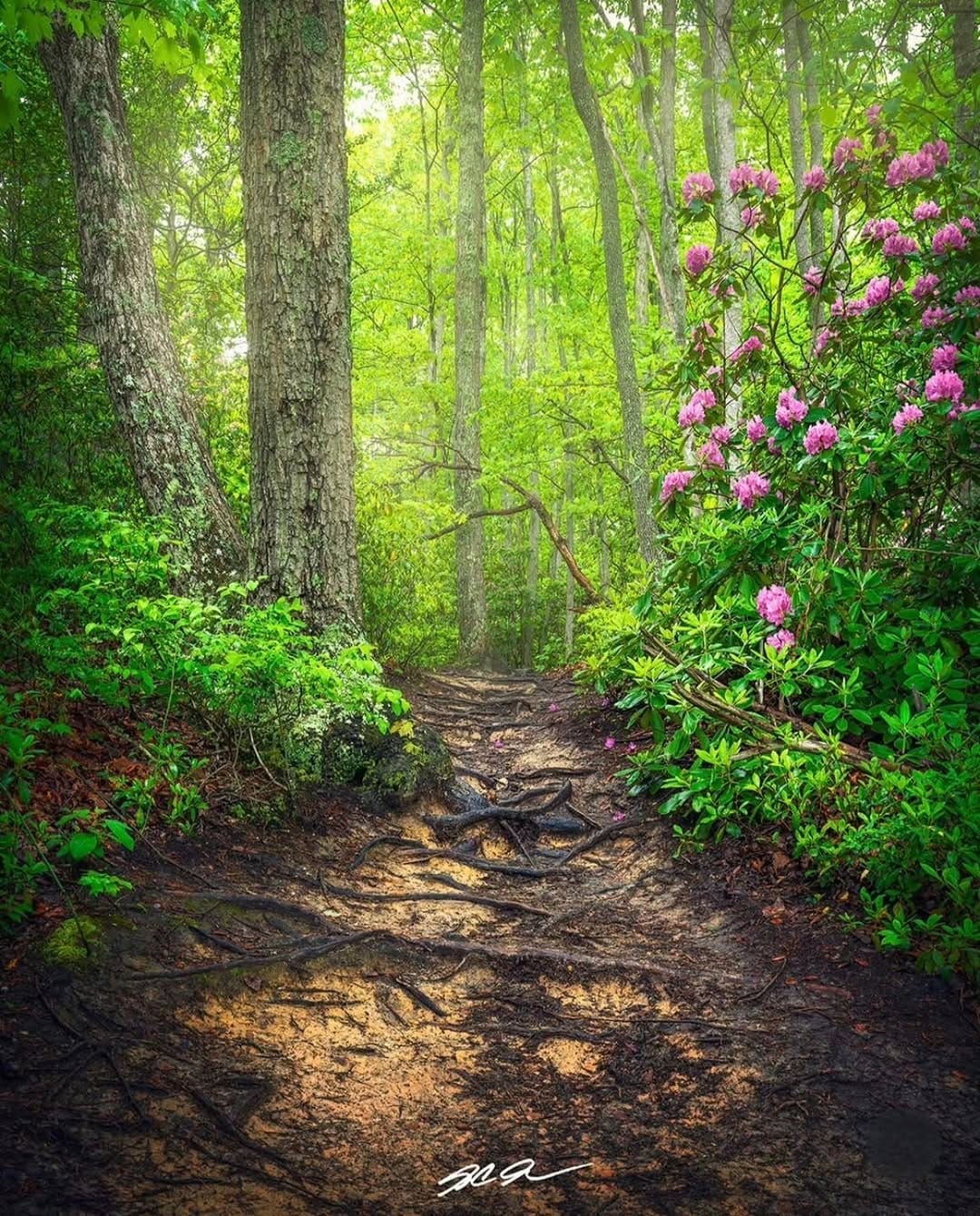 Post 3 by S.C. Shank | Fine Art Landscape Photographer on Instagram (image)