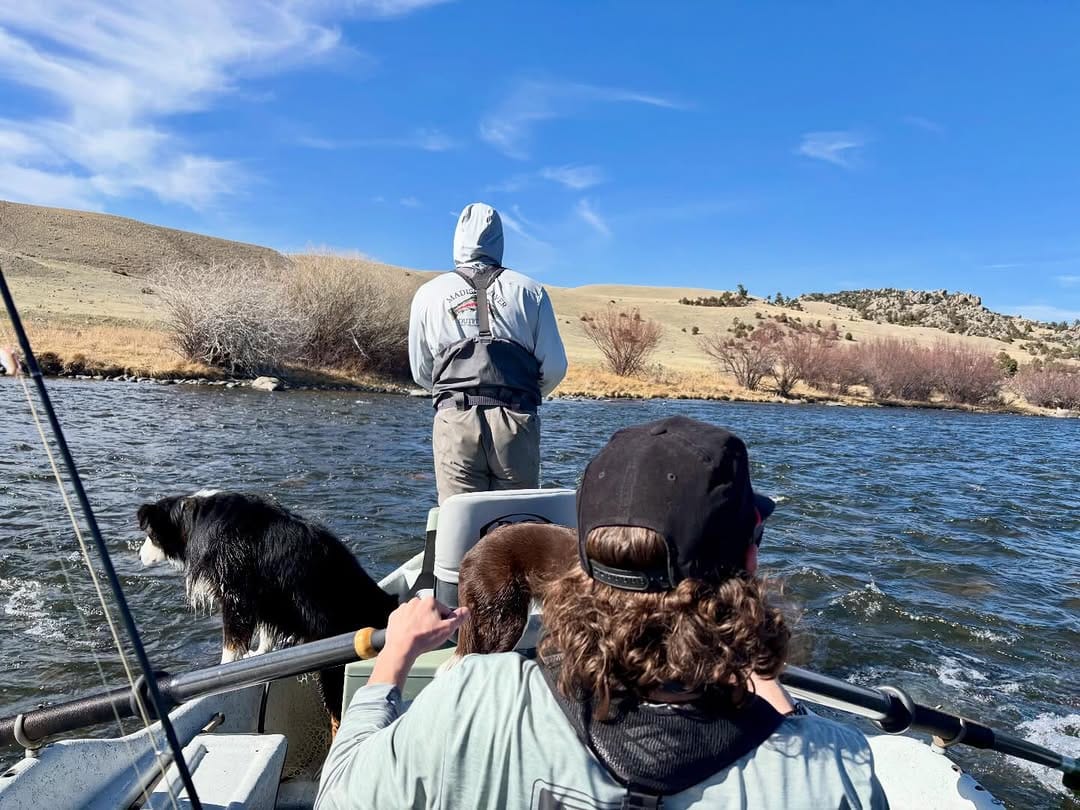 Post 8 by Madison River Outfitters on Instagram (image)