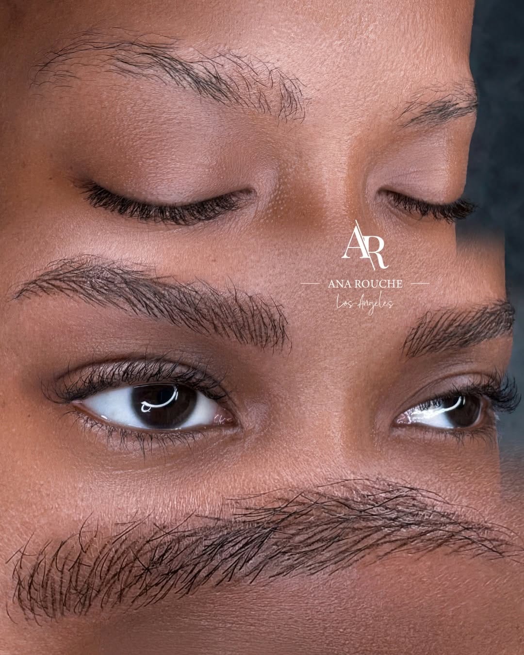 Post 1 by Ana Rouche | PMU Artist & Trainer | LA on Instagram (carousel)
