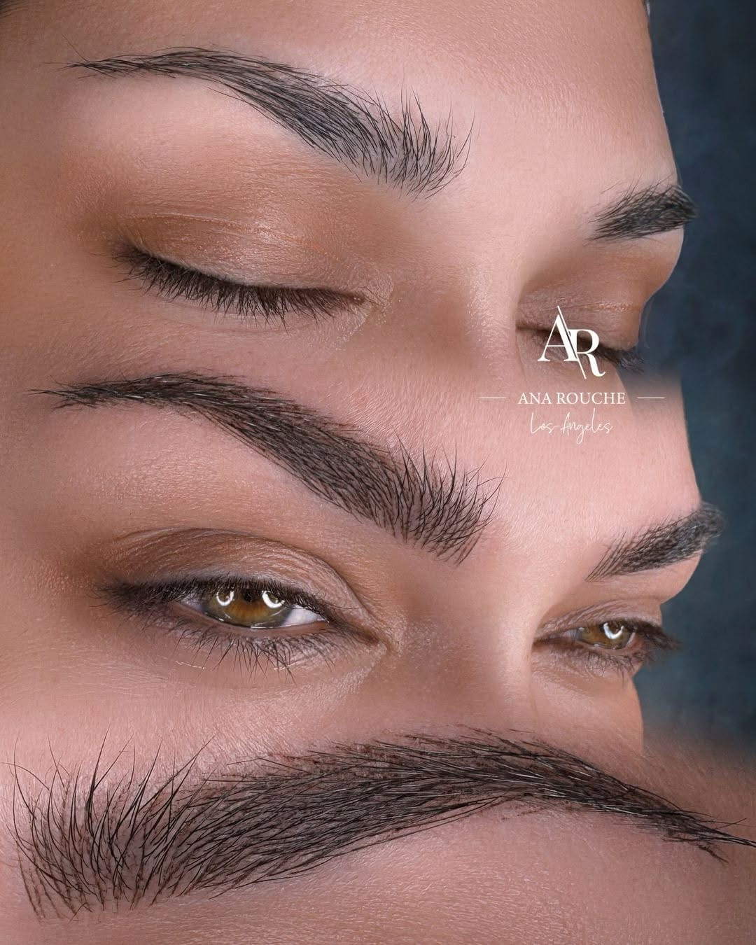 Post 6 by Ana Rouche | PMU Artist & Trainer | LA on Instagram (carousel)