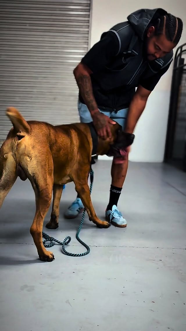 Post 3 by Derrick Seymour on Instagram (video)