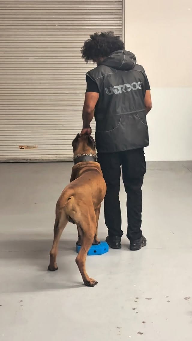 Post 8 by Derrick Seymour on Instagram (video)