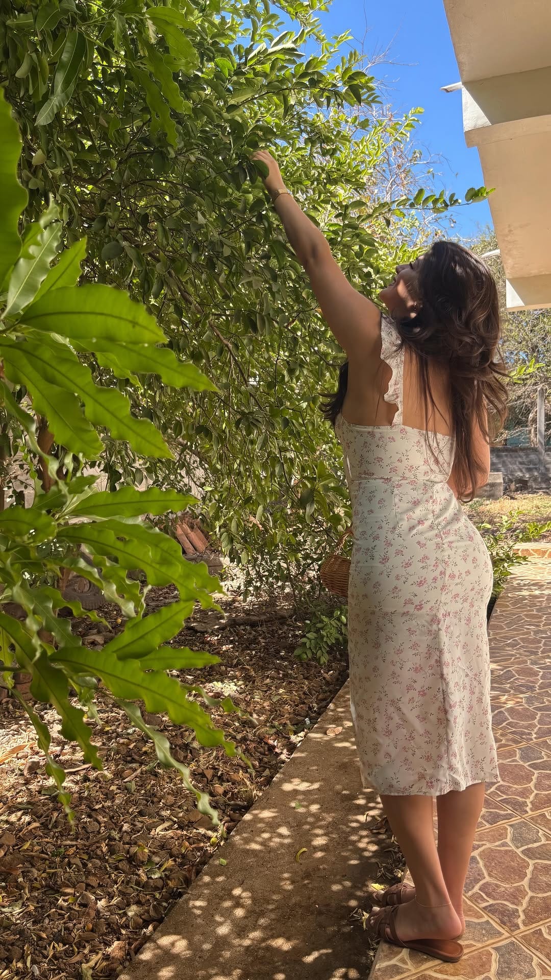 Post 7 by Johana Elizabeth on Instagram (video)