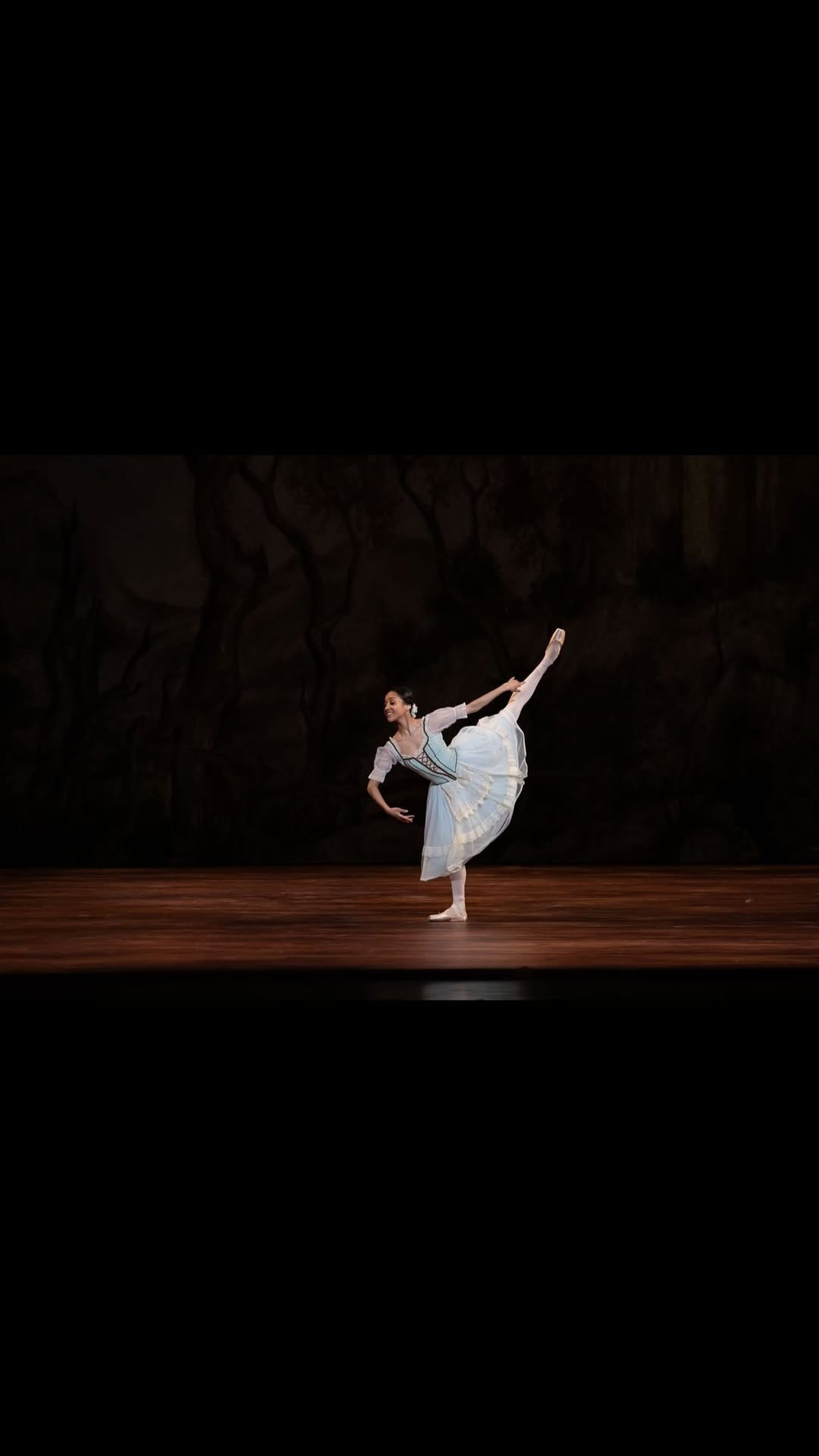 Post 8 by NAYARA LOPES 🇧🇷 on Instagram (video)
