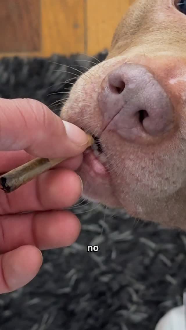 Post 10 by Rome on Instagram (video)