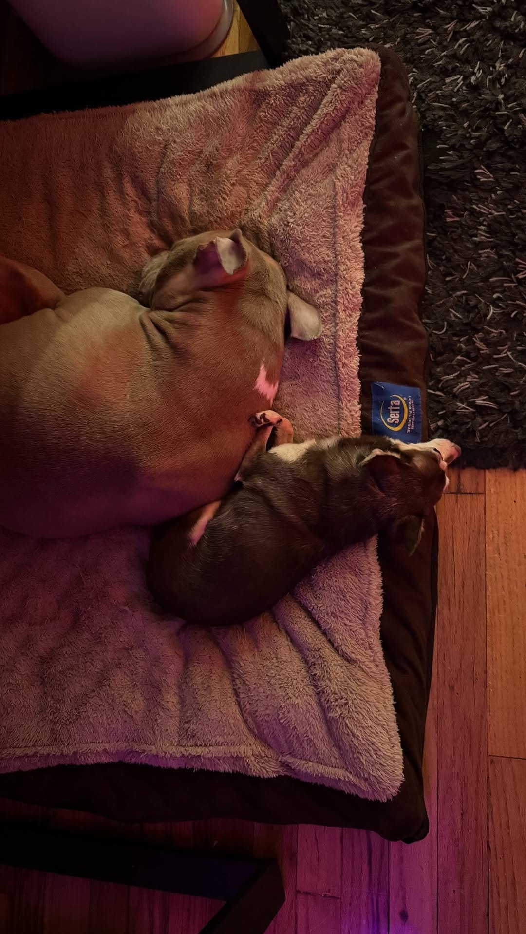 Post 3 by Rome on Instagram (video)