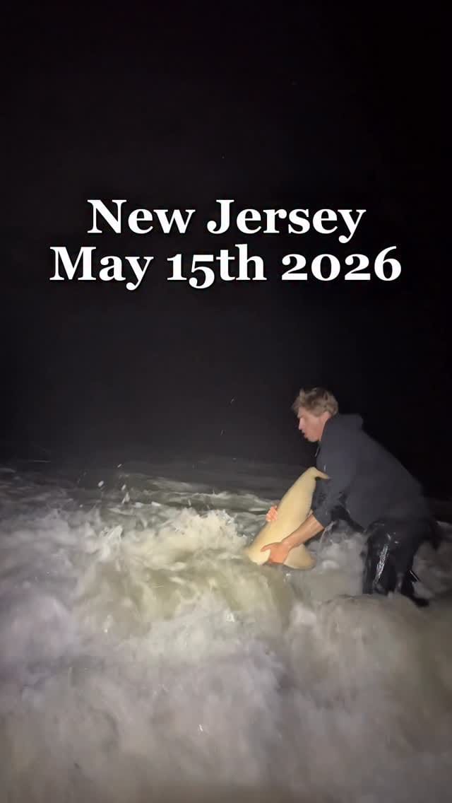 Post 6 by Apex Anglers on Instagram (video)