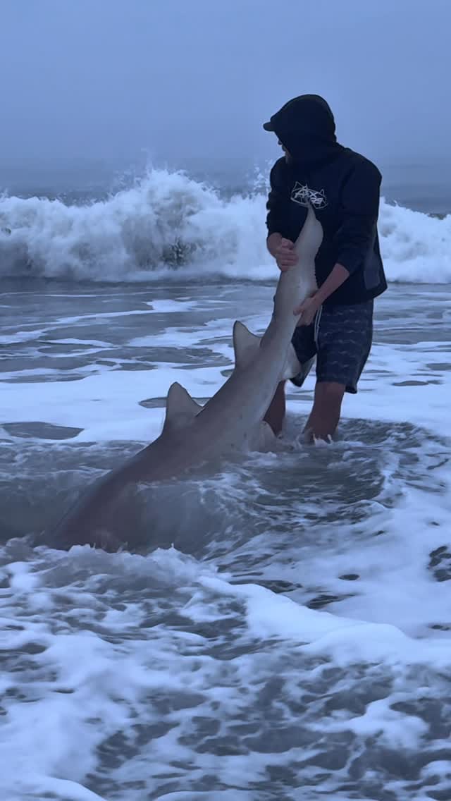 Post 2 by Apex Anglers on Instagram (video)