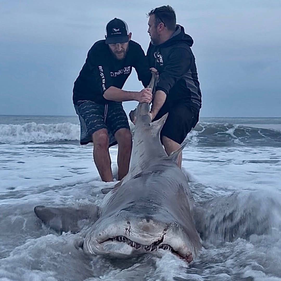 Post 4 by Apex Anglers on Instagram (image)
