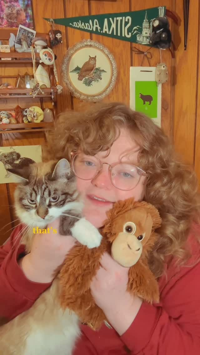 Post 2 by kayla ❀ wildlife girl on Instagram (video)
