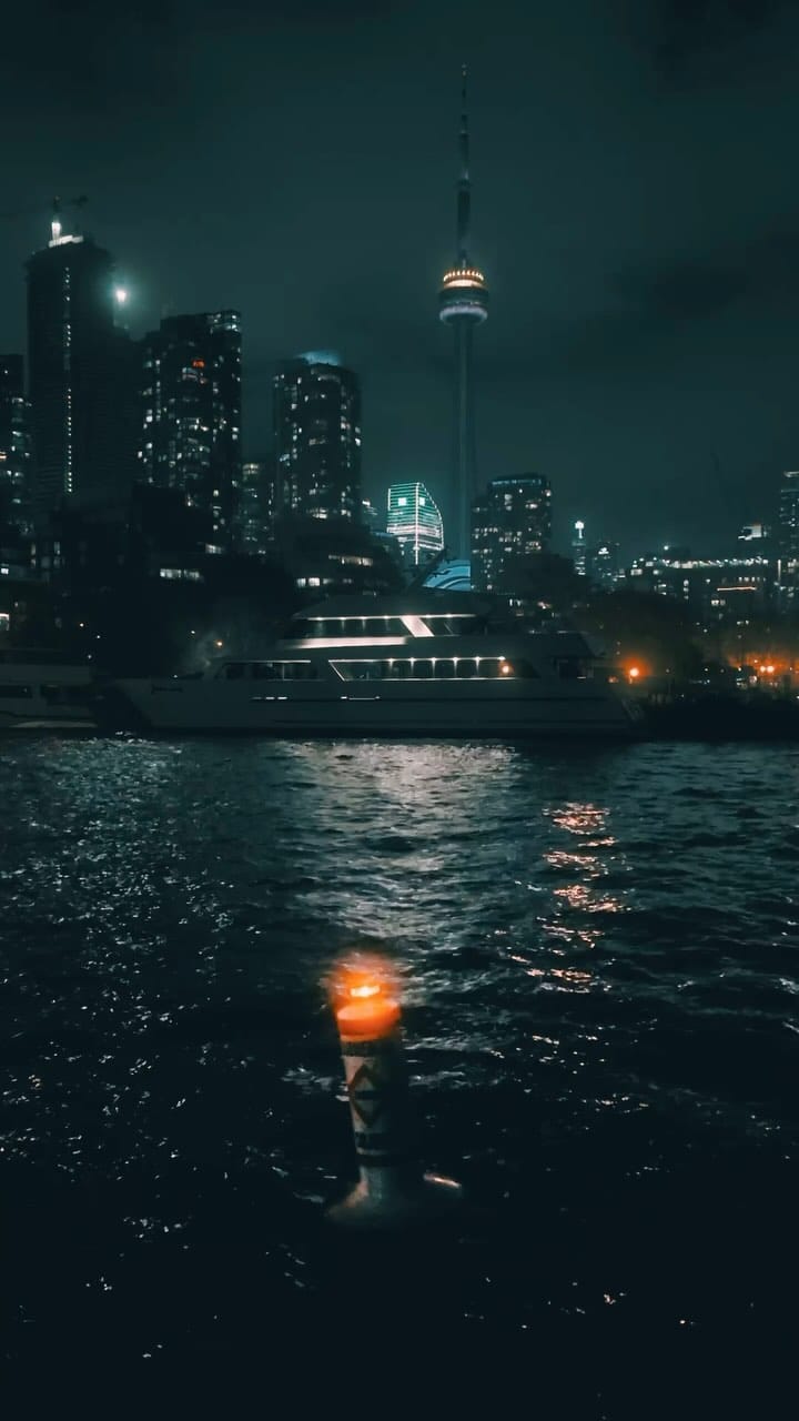 Post 4 by bora nikolic on Instagram (video)