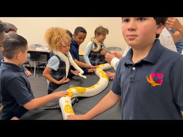 Post 3 by Brian Gundy / For Goodness Snakes on Instagram (video)