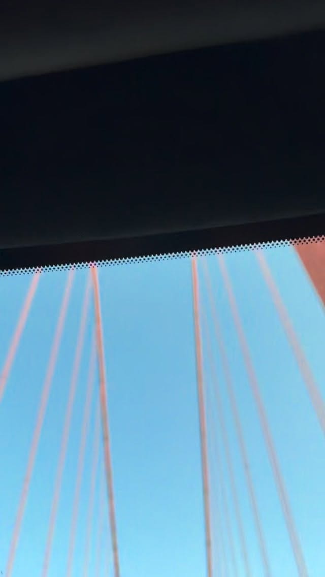 Post 9 by Brian Gundy / For Goodness Snakes on Instagram (video)