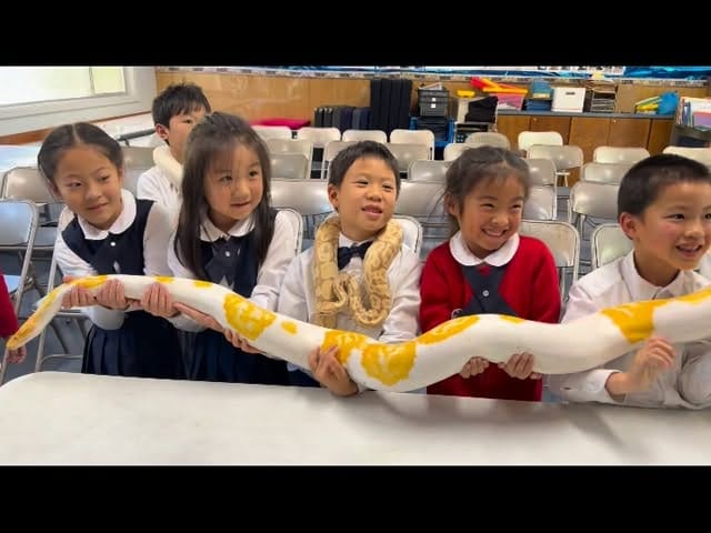 Post 8 by Brian Gundy / For Goodness Snakes on Instagram (video)