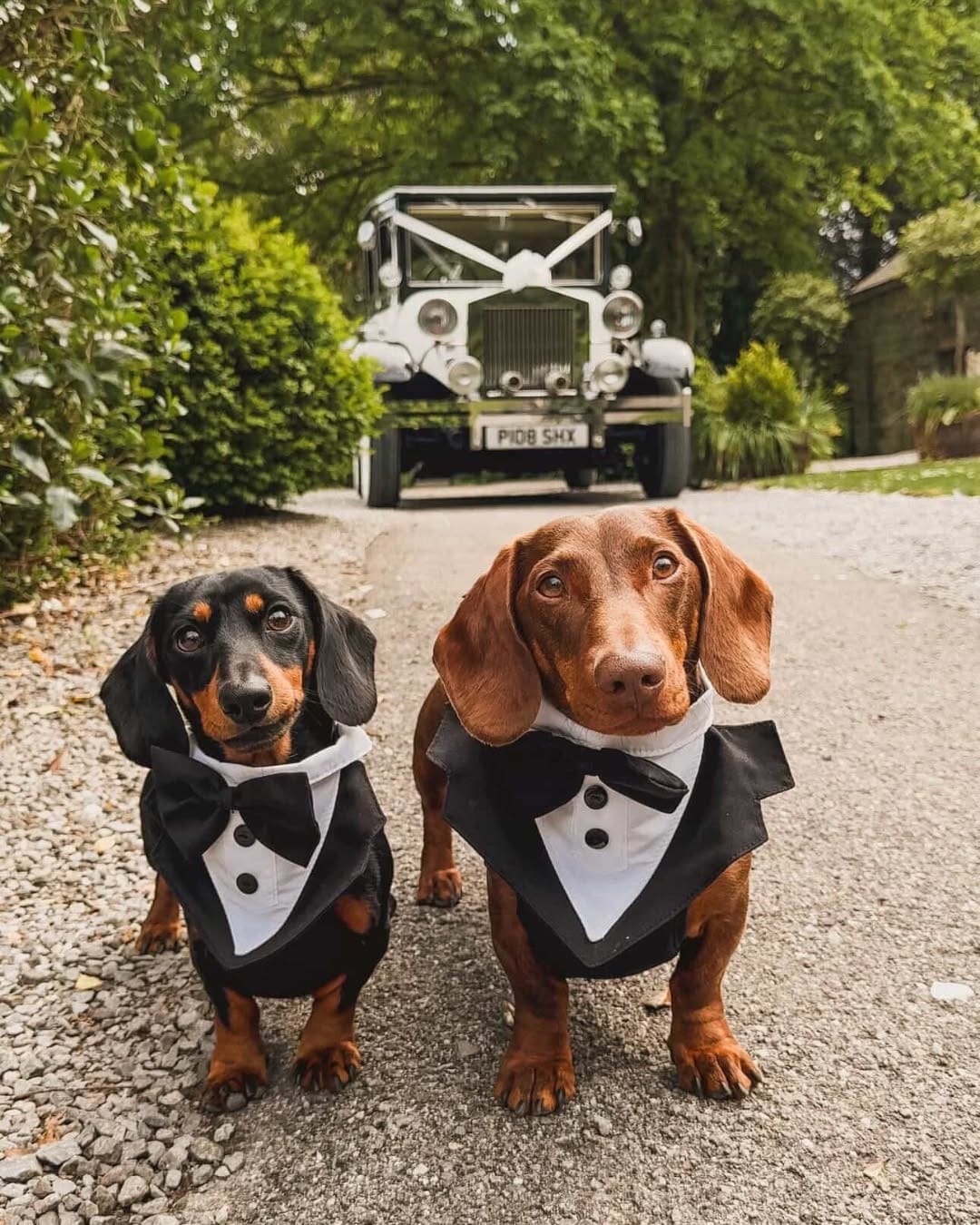 Post 6 by Pencoed House | Welsh Wedding Venue on Instagram (image)