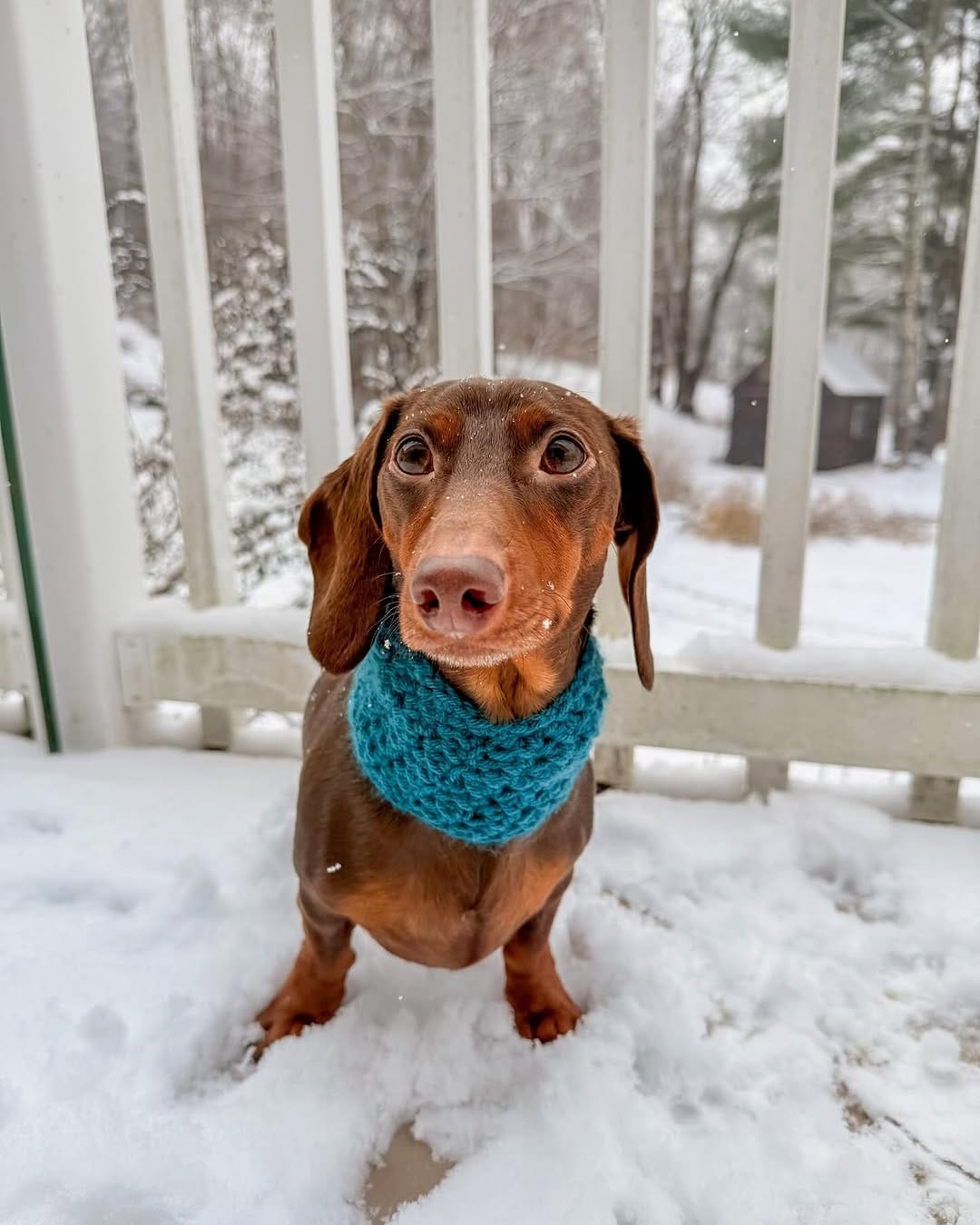 Post 8 by Barry🤎🐾 on Instagram (carousel)