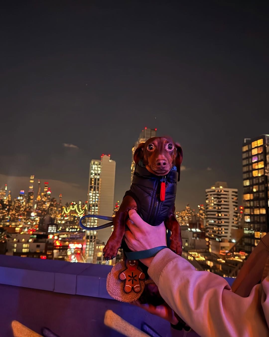 Post 9 by Barry🤎🐾 on Instagram (carousel)