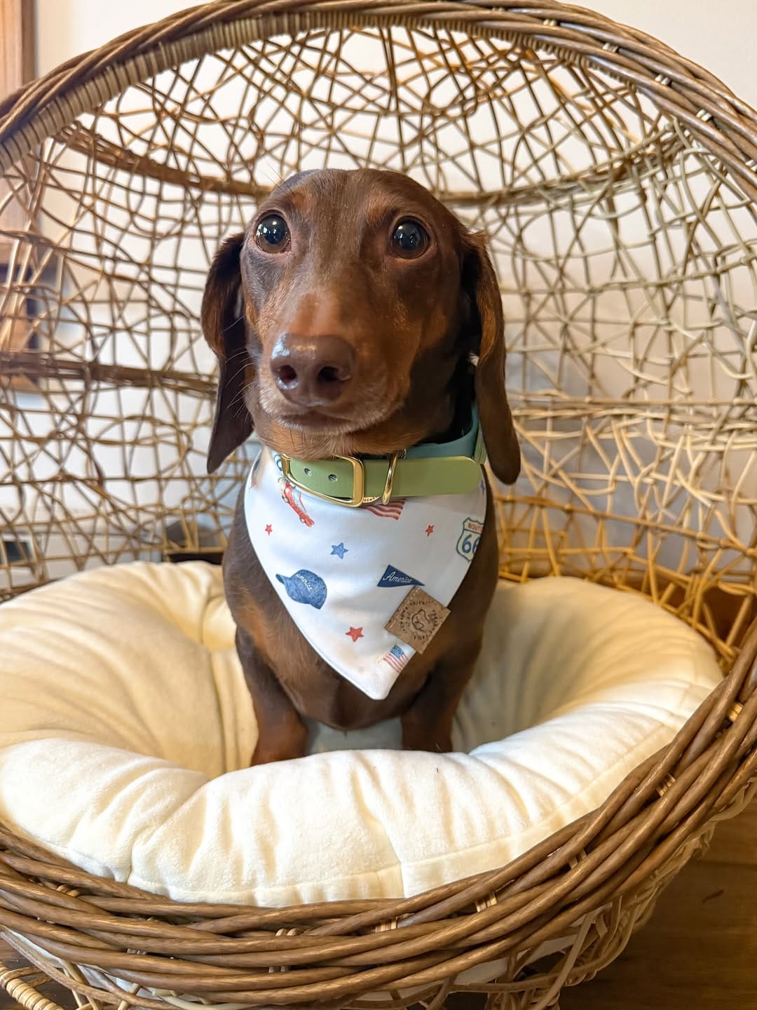 Post 1 by Barry🤎🐾 on Instagram (carousel)