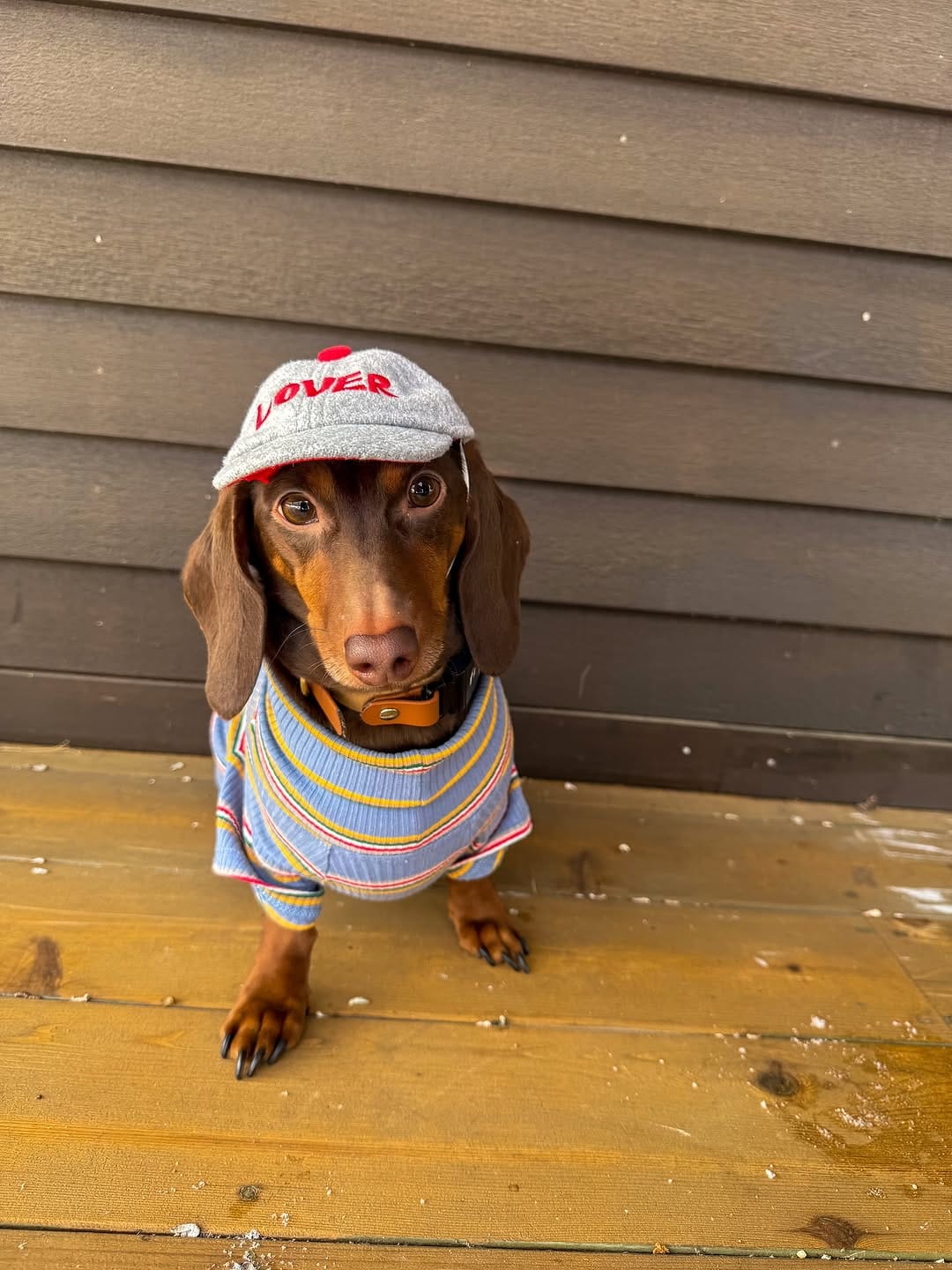 Post 6 by Barry🤎🐾 on Instagram (carousel)