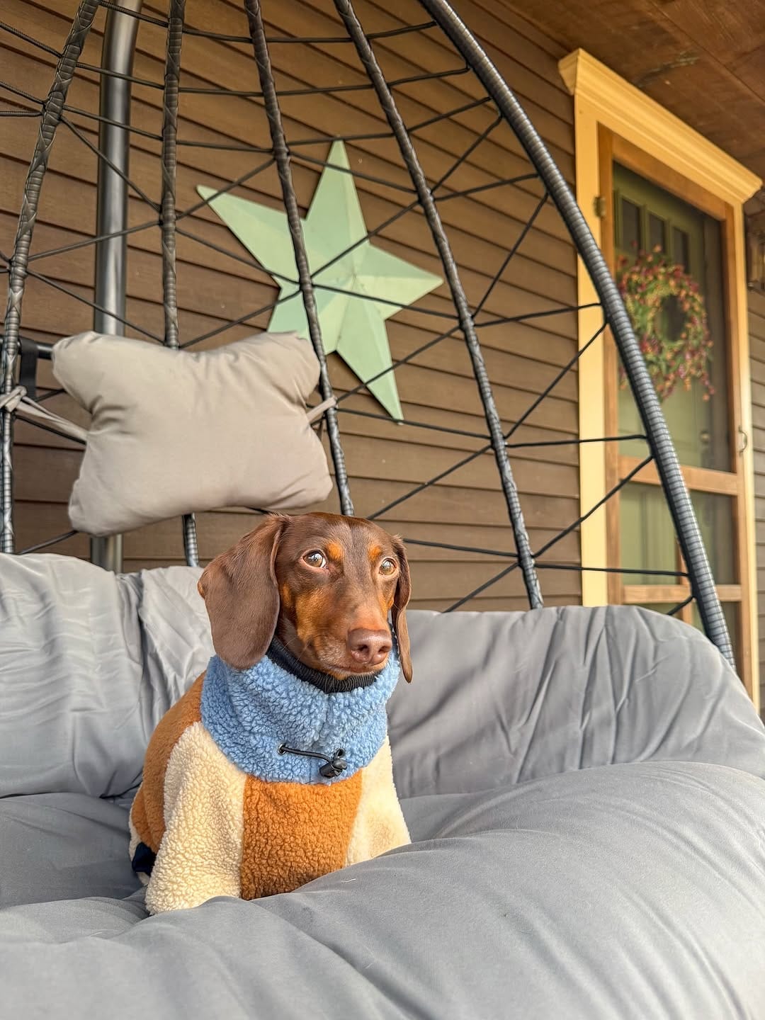 Post 2 by Barry🤎🐾 on Instagram (carousel)