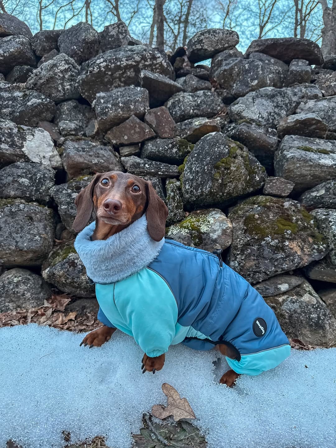 Post 3 by Barry🤎🐾 on Instagram (carousel)