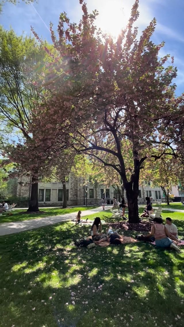 Post 9 by Loyola Undergraduate Admission on Instagram (video)
