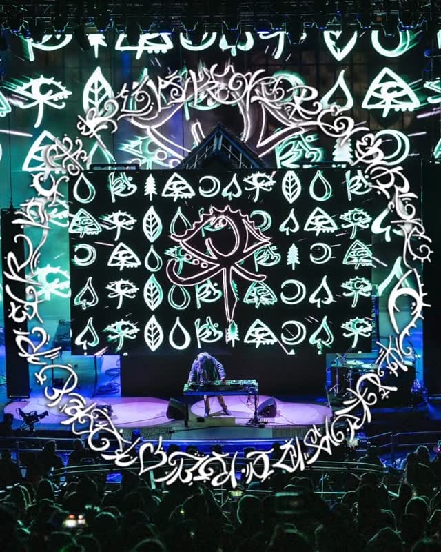 Post 3 by 𝕋𝕀𝔾𝔼ℝ 𝔽𝕆𝕏 Presents - Portland on Instagram (video)