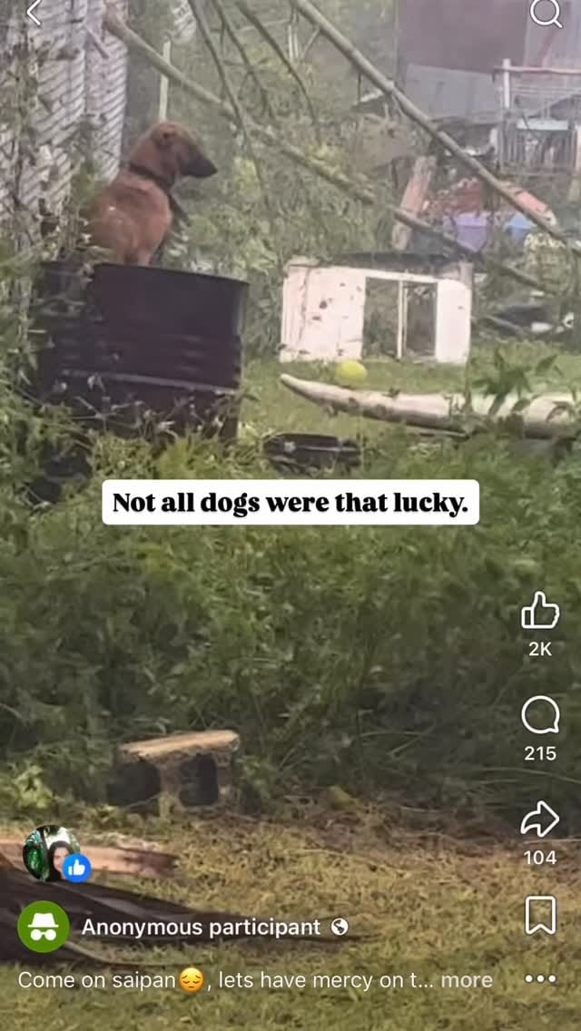 Post 4 by Shiloh Landskov on Instagram (video)