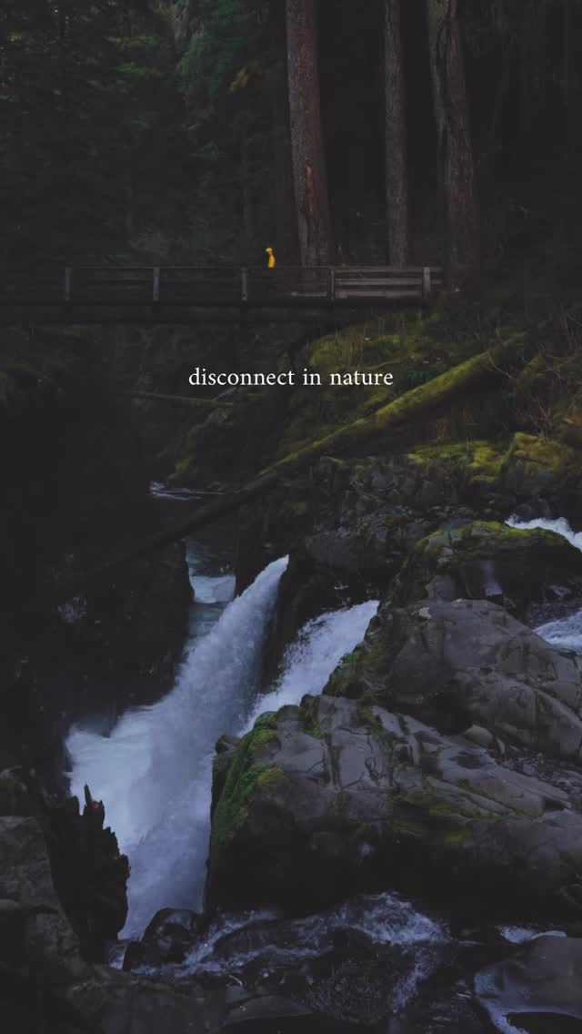 Post 4 by Stay in Nest · Washington Stays on Instagram (video)