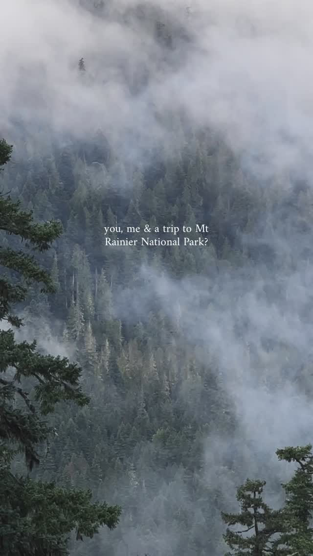 Post 5 by Stay in Nest · Washington Stays on Instagram (video)