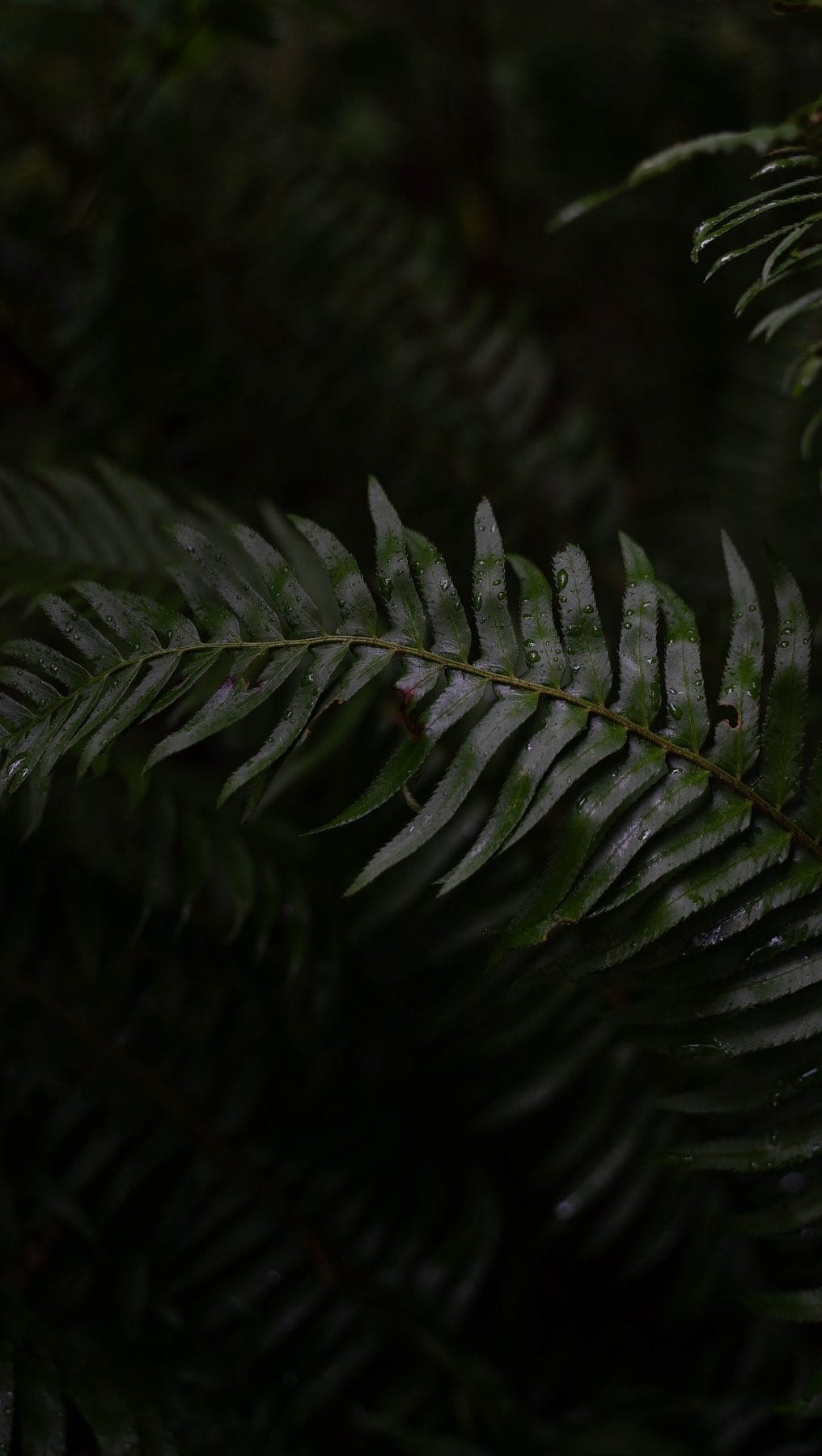 Post 10 by Stay in Nest · Washington Stays on Instagram (video)