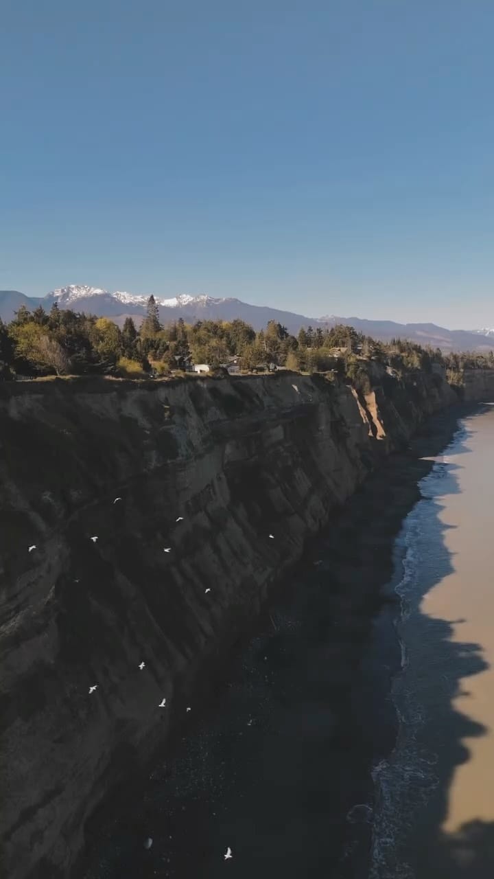 Post 3 by Stay in Nest · Washington Stays on Instagram (video)