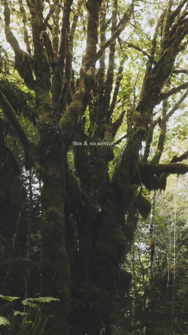Post 1 by Stay in Nest · Washington Stays on Instagram (video)