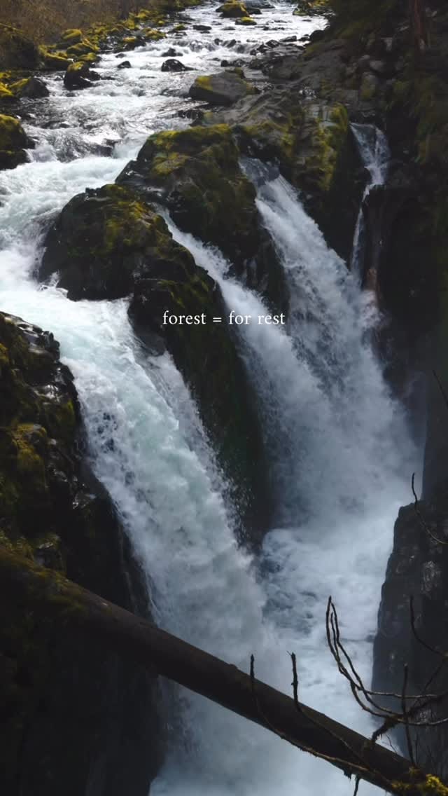Post 7 by Stay in Nest · Washington Stays on Instagram (video)