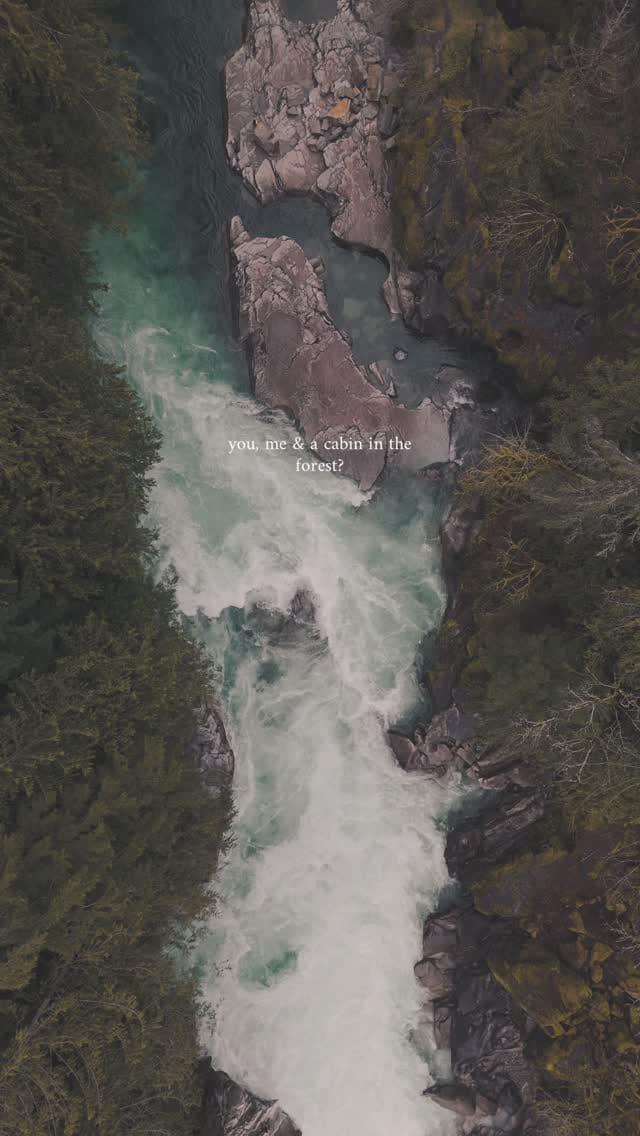 Post 6 by Stay in Nest · Washington Stays on Instagram (video)