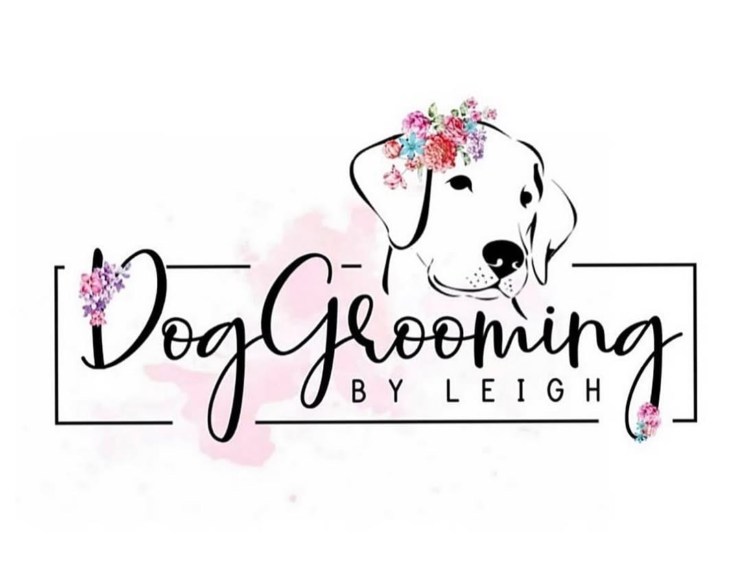 Post 1 by Mobile Dog Grooming by Leigh on Instagram (image)