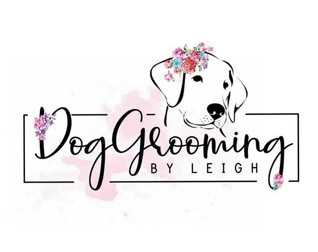 Post 10 by Mobile Dog Grooming by Leigh on Instagram (image)