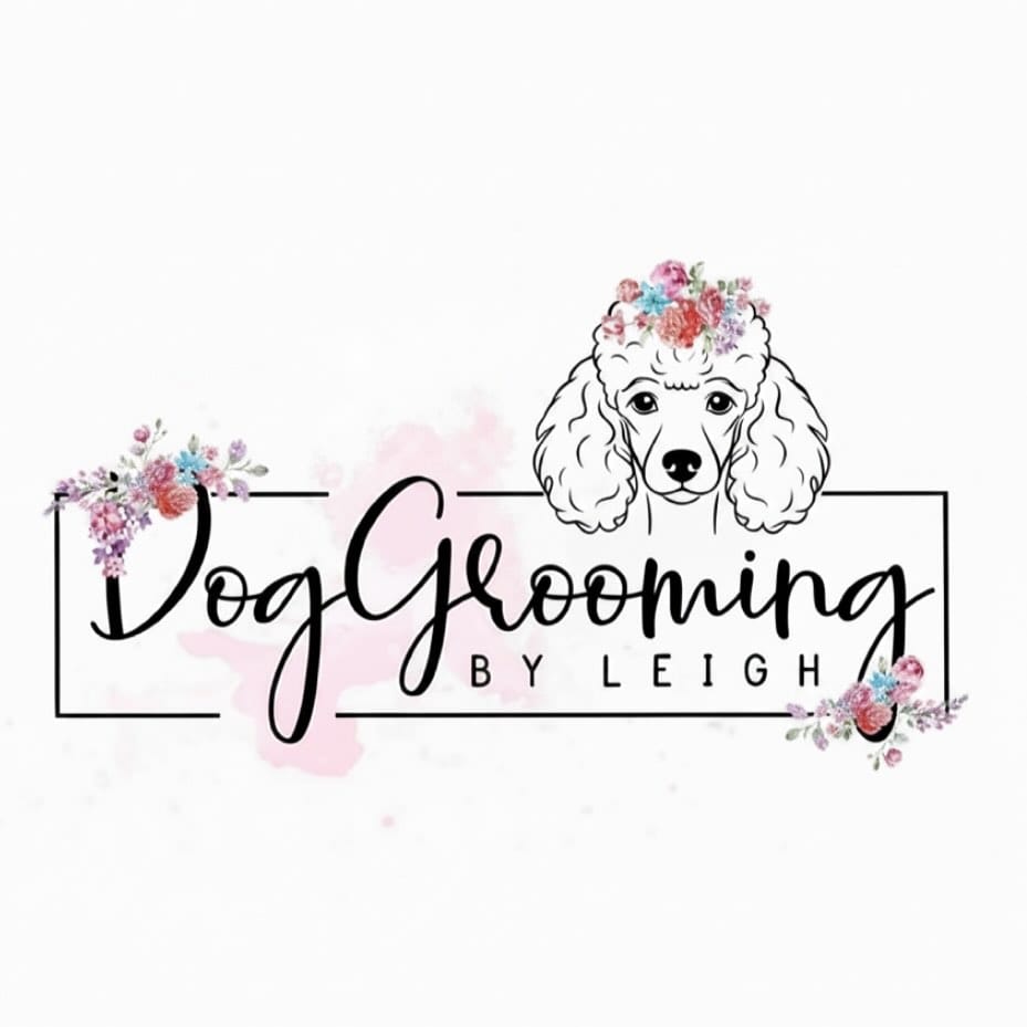 Post 4 by Mobile Dog Grooming by Leigh on Instagram (image)
