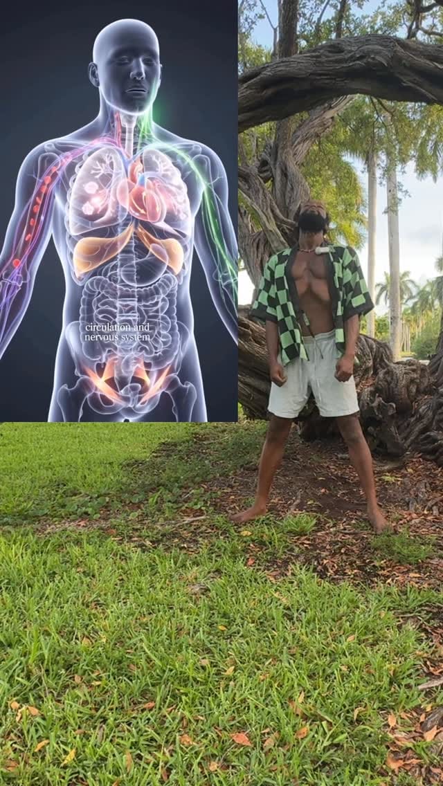 Post 3 by Devon Graham | Breath Artist on Instagram (video)