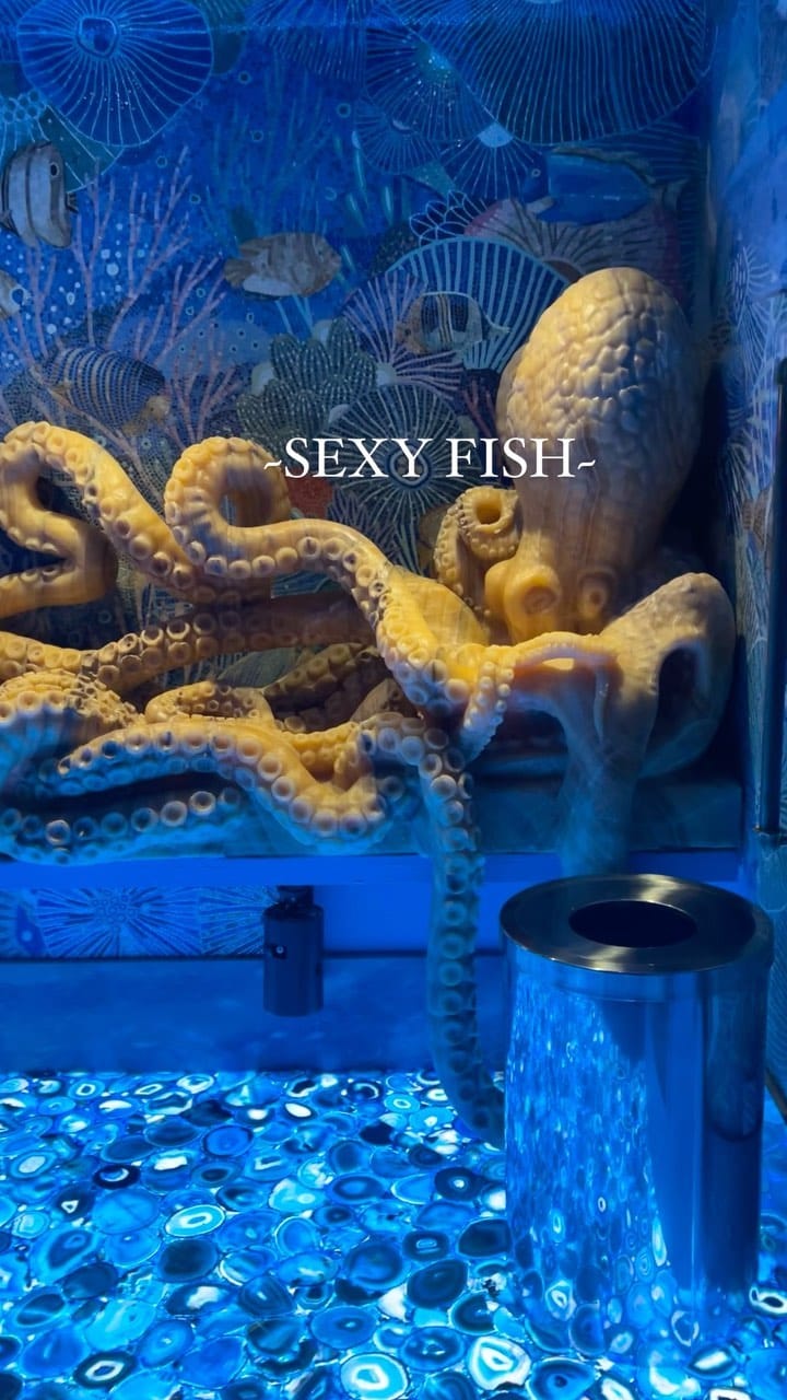 Post 8 by ELLILUX on Instagram (video)