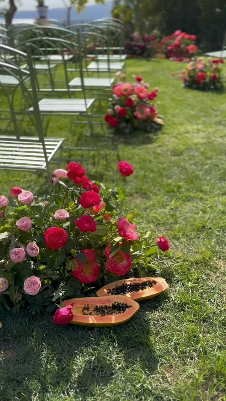 Post 4 by Mina De Simone on Instagram (video)