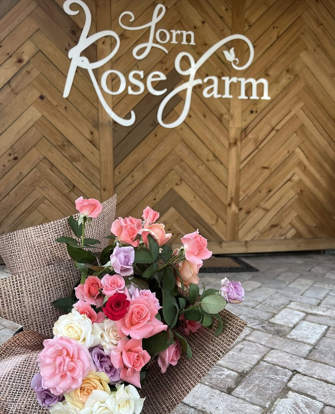 Post 2 by Lorn Rose Farm on Instagram (image)